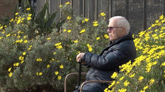 پیری جمعیت نتیجه ترویج فرهنگ مادی‌گرایانه غرب است