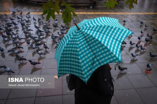 رگبار باران در ۶ استان/ باد و خاک در ۱۲ استان