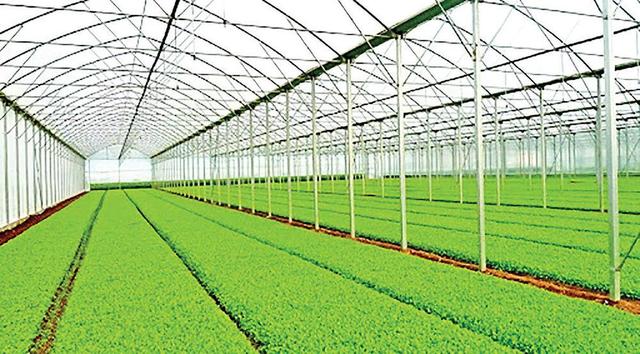 شهرک‌های کشاورزی زیرساخت تحقق کشاورزی نوین