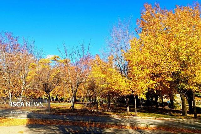 پاییز ۱۴۰۴ خشک‌ترین فصل چهار دهه اخیر / ۲ هفته بدون بارش در سراسر کشور