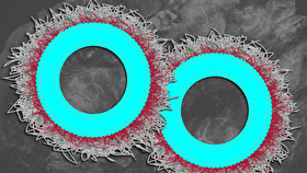 نانوذرات کمکی: راهی نوین برای درمان سرطان تخمدان مقاوم‌‌‌‌