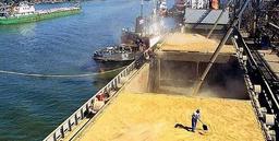 ورود دستگاه قضایی؛ ترخیص نهادههای دامی از گمرکات آذربایجانغربی تسریع شود