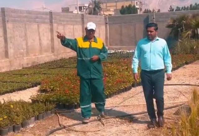 شهردار کنگان: خودکفایی گلخانه‌ای برای توسعه پایدار شهری ضروری است