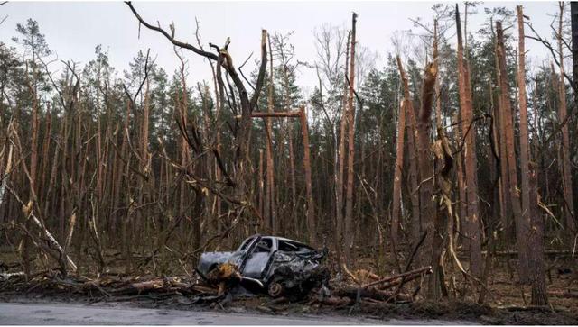 طبیعت؛ قربانی خاموش جنگ اوکراین