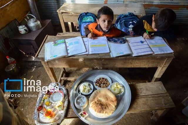 فیلم| پنیر تالشی؛ عطر شیر و مه در میراث کوهستان‌های گیلان