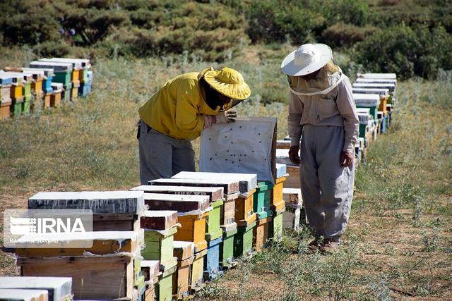 یکهزار شغل با تسهیلات بسیج سازندگی در خراسان شمالی ایجاد شد