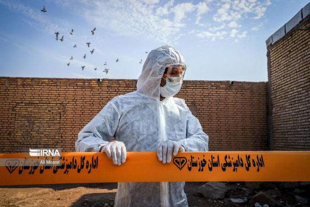 قتل‌عام گسترده دام‌ها بر اثر تب برفکی در چند استان کشور/هشدار نماینده مجلس درباره بحران