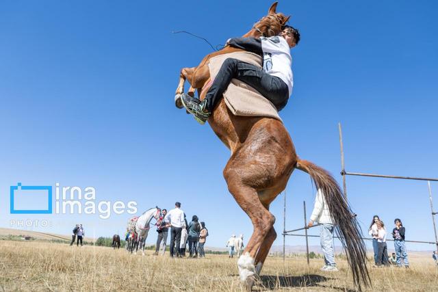 مسابقات استانی سوارکاری استقامت در کردستان به کار خود پایان داد