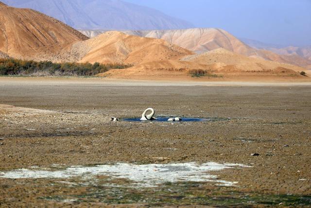 فیلم| خشک شدن بند عبدل‌آباد بجنورد و مرگ هزاران ماهی