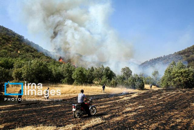 محدوده‌ای از جنگل‌های چالوس دچار آتش‌سوزی شد