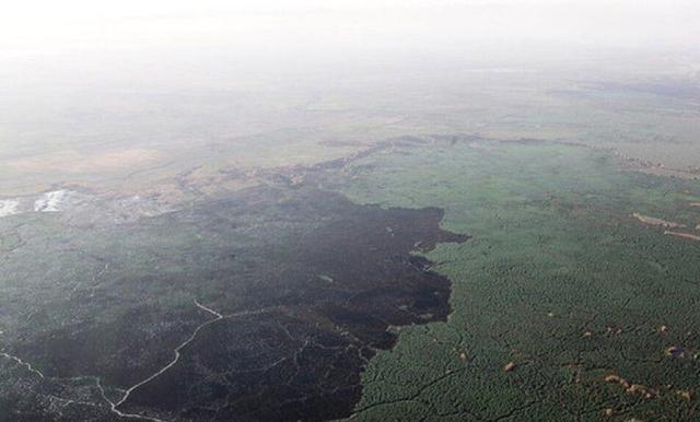 استاندار خوزستان: کارگروه ملی برای مهار آتش‌سوزی هورالعظیم تشکیل می‌شود