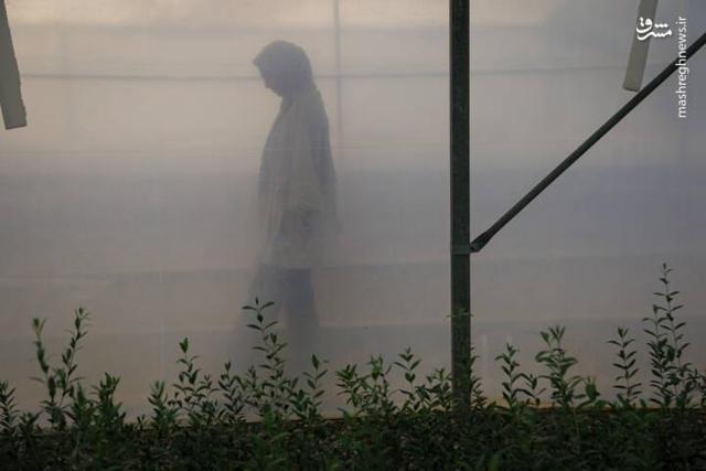 عکس/ رزق و روزی در خاک و دریا