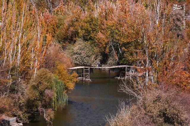 عکس/ رقص رنگ‌ها بر بام زاگرس