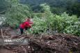 نجات ۱۰ گردشگر مفقودی در جنگل‌های شیرمشه با تلاش نجاتگران هلال احمر زنجان