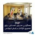 سومین نشست کمیته راهبری کیش اینوکس؛ همگرایی مدیران ثمسکن برای حضوری اثرگذار و هدفمند