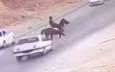 فیلم/ تصادف شدید پژو با اسب در کازرون