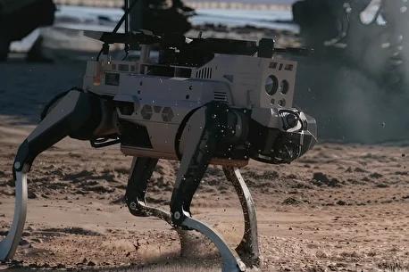 نمایش سگ های انفجاری و پهپادهای تهاجمی چین؛ شبیه سازی تهاجم آب خاکی برای کنترل تایوان(+فیلم و عکس)