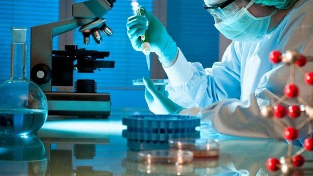 ایران باید جایگاه پیشین خود در پزشکی بازساختی را بازپس گیرد