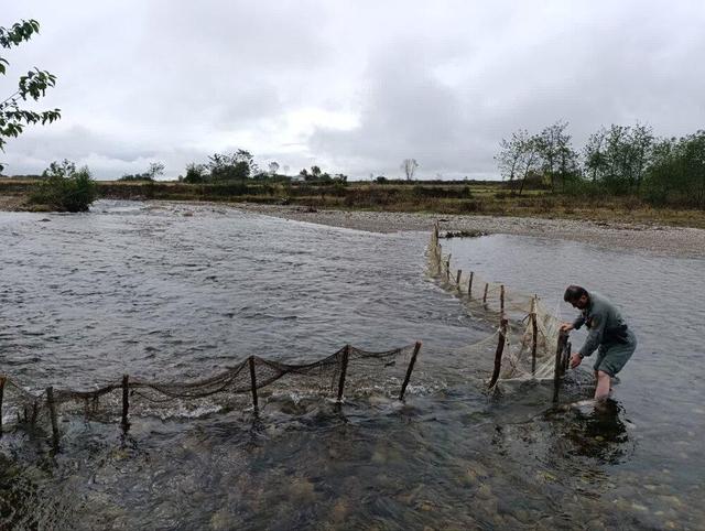 جمع‌آوری سد غیرمجاز ماهیگیری در رودخانه ناورود تالش