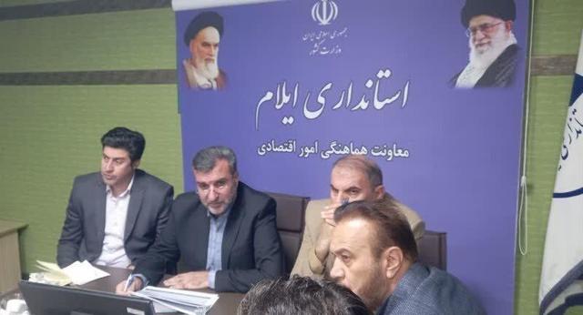 معاون اقتصادی استاندار: جهشی در پرداخت تسهیلات در ایلام داشتیم/ تضامین و وثایق همچنان چالش تسهیلات 