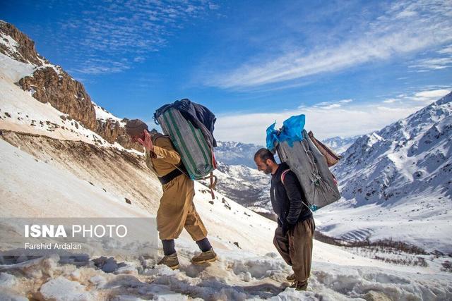 اجرای طرح اشتغالزایی جایگزین کولبری توسط بنیاد برکت 
