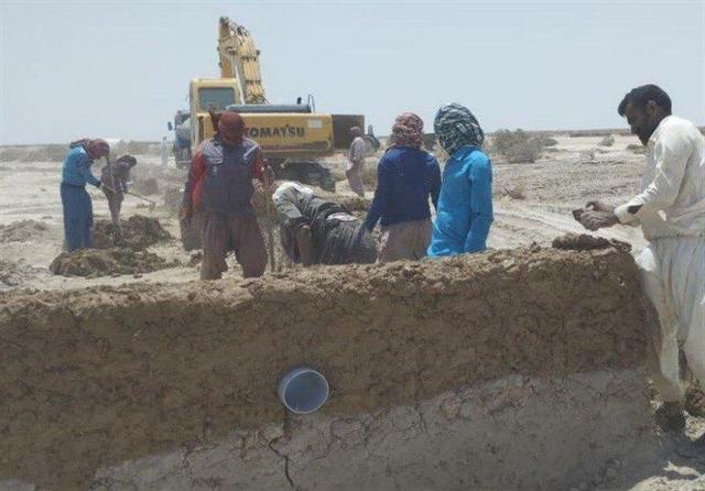 ابتکار بومی برای مهار گرد و غبار هامون | بادشکن‌ های تالاب هامون ریزگردها را مهار می‌ کنند؟