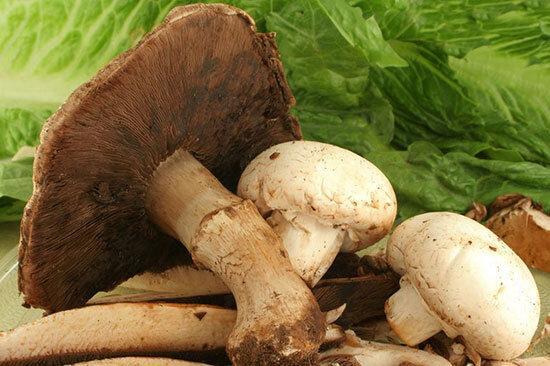 هشدار به مردم؛ خوردن این قارچ ها جان شما را می گیرد