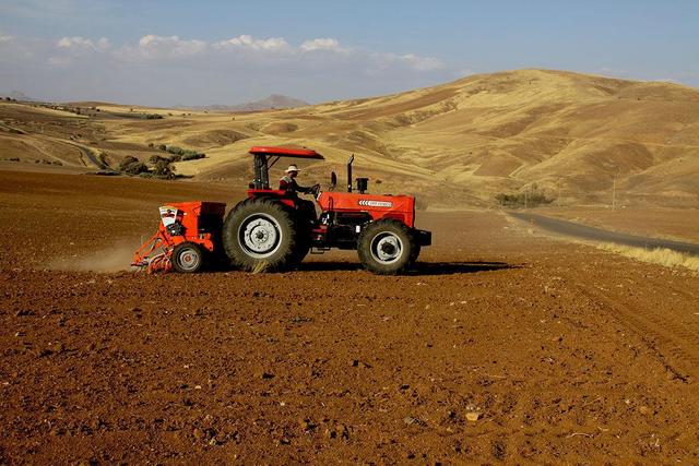 آغاز کشت پاییزه در بیش از ۵۷ هزار هکتار اراضی کشاورزی دزفول