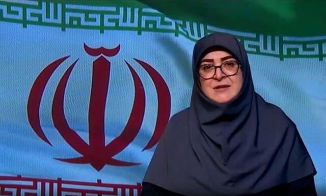 مهاجرانی: وزارت خارجه پیام‌هایی را برای از سرگیری مذاکرات دریافت کرده‌است