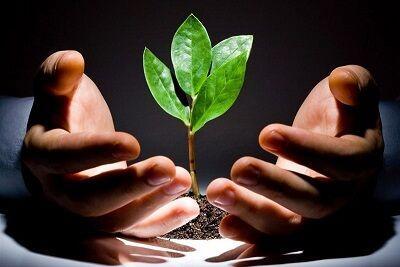 ۸۱ هزار میلیارد ریال تسهیلات برای رونق کشاورزی کرمانشاه اختصاص یافت