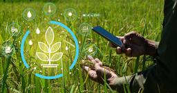 رهگیری سموم کشاورزی با سامانه هوشمند یکپارچه‌سازی ملی مدیریت