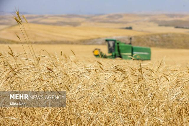 پیگیری دغدغه کشاورزان هشترودی؛روایتی از کم آبی و مشکلات تخصیص کود
