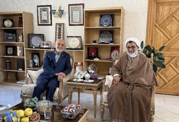 دیدار دبیر شورای عالی انقلاب فرهنگی با رئیس بنیاد ایران‌شناسی