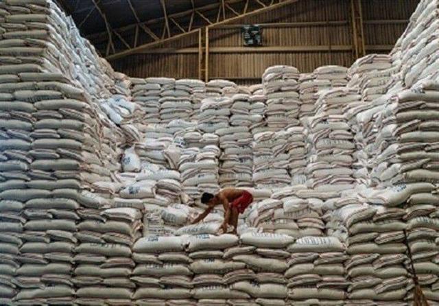 توزیع ۹۵۴ تُن برنج تنظیم بازاری در استان قزوین