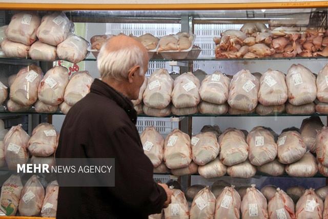 برادری: مرغ در بازار تهران زیاد شد