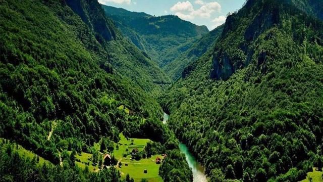 گفت‌وگوی آرام با خرس‌ها و پلنگ‌ها در دل جنگل‌های چلاو