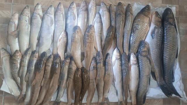 متخلفان صید غیرمجاز در سد سلمان فارسی دستگیر شدند