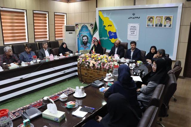 فرماندار دشتی: دولت چهاردهم با جدیت از زنان کارآفرین حمایت می‌کند