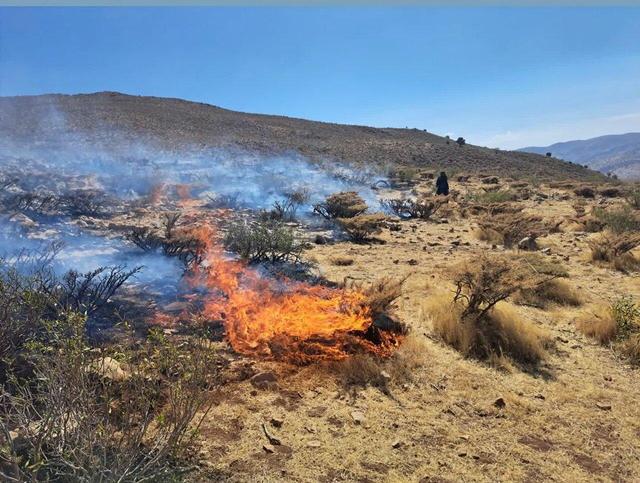 آتش‌سوزی ارتفاعات «کوه خان یک» ممسنی مهار شد