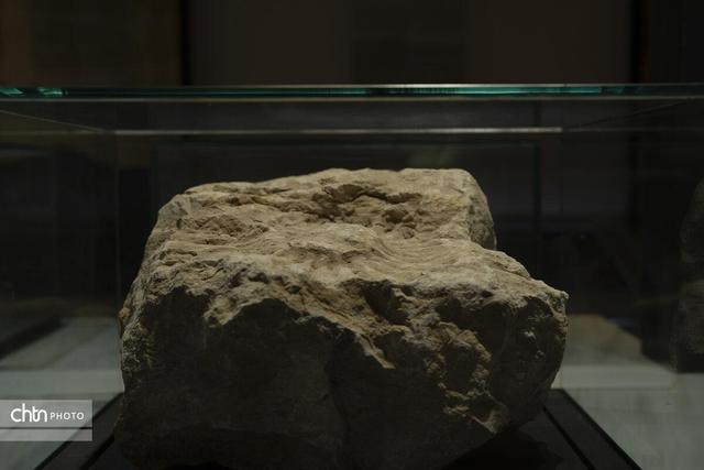 گالری محیط‌ زیست و زمین‌ شناسی موزه منطقه‌ای خلیج فارس بوشهر