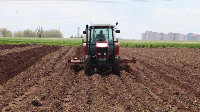 آغاز کشت پاییزه در سطح بیش از ۵۷ هزار هکتار اراضی کشاورزی دزفول