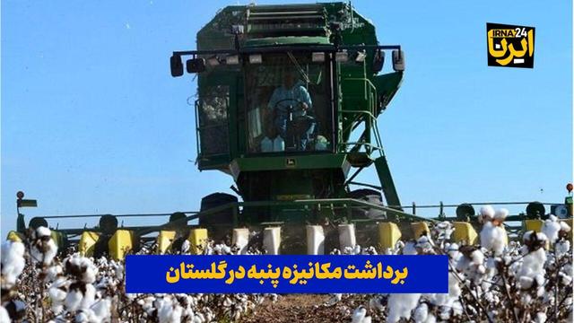 فیلم| برداشت مکانیزه پنبه در گلستان