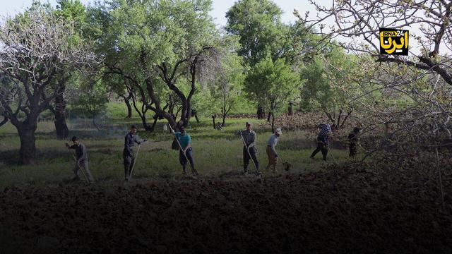 روزی که باغستان سنتی قزوین در جهان درخشید