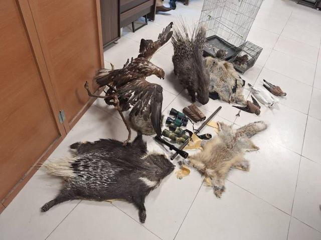 دستگیری بزرگ‌ترین متخلف حیات‌ وحش در اقبالیه قزوین