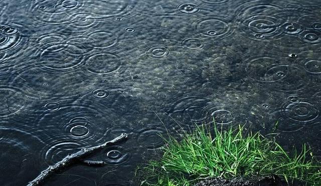 بارش باران و کاهش دما در برخی استان‌ها