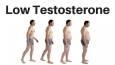 عوامل کاهش تستوسترون در ورزشکاران