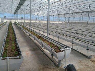 پرداخت ۲۹۴ میلیارد تومان تسهیلات تبصره ۱۸ به بهره برداران بخش کشاورزی