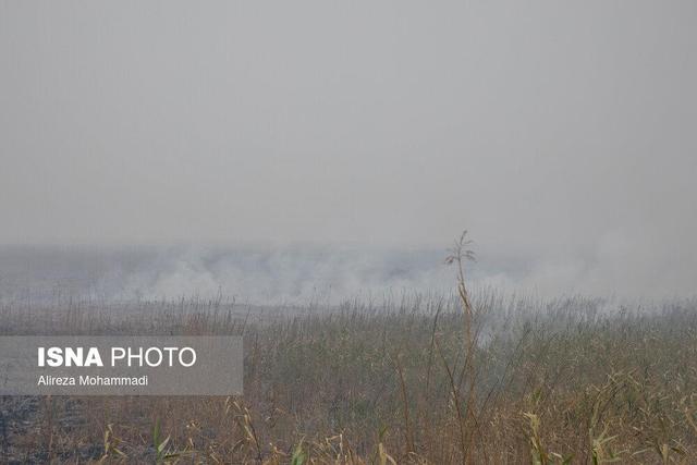 تصمیم درباره هورالعظیم، شفاف به مردم خوزستان گفته شود