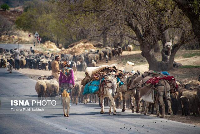 اصلاح و بازگشایی ۳۰ کیلومتر مسیر عشایری در ایذه