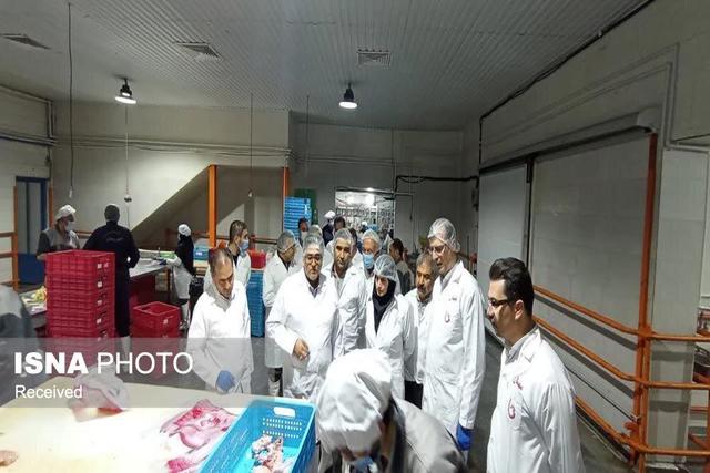 معاون استاندار زنجان: نظارت در کشتارگاه‌های طیور، نقش کلیدی در حفظ سلامت جامعه دارد